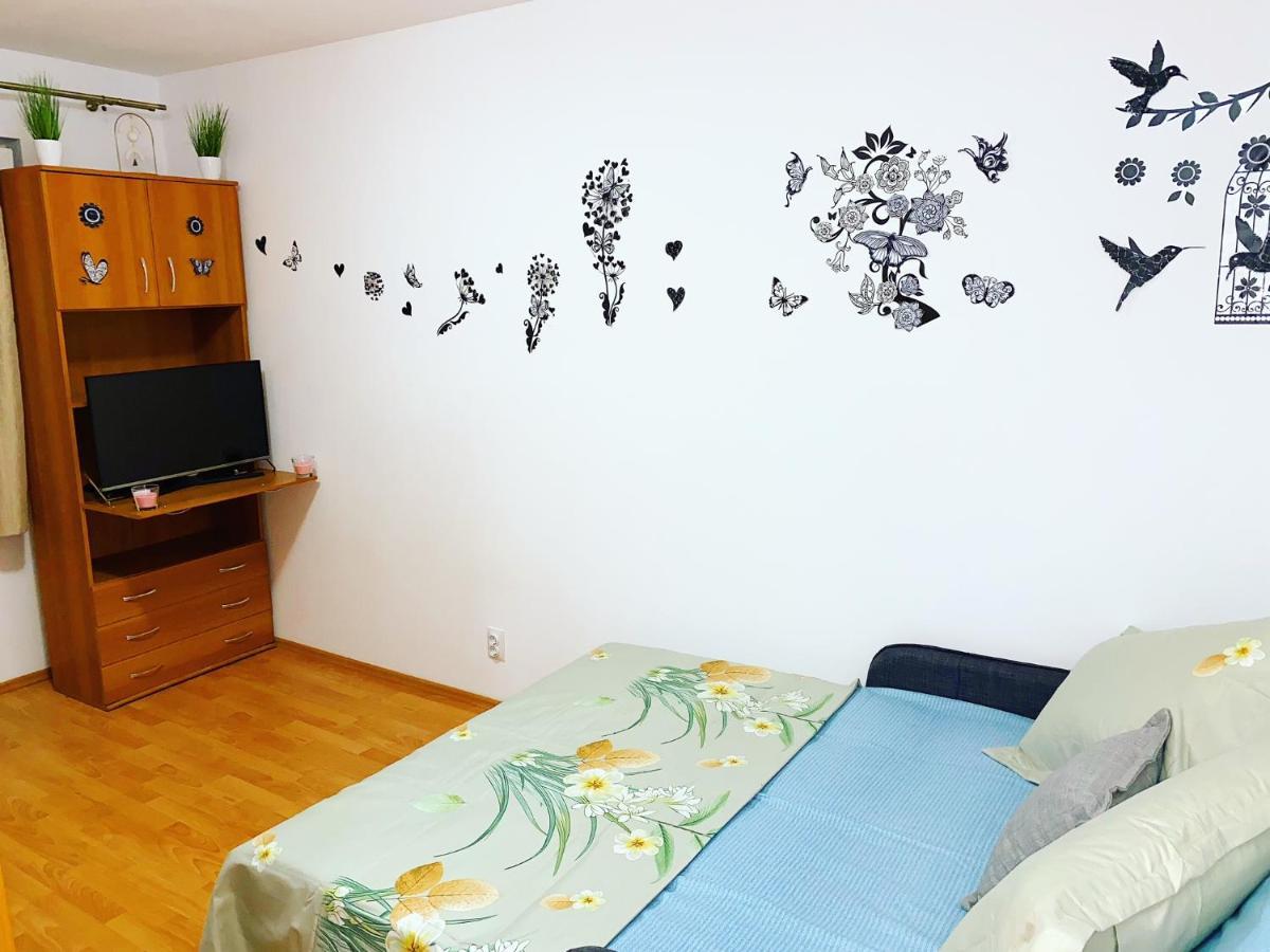 Casa Andu Centru Appartamento *